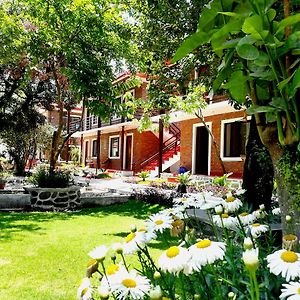 Triple Room Garden View Flexible Checkin Time
